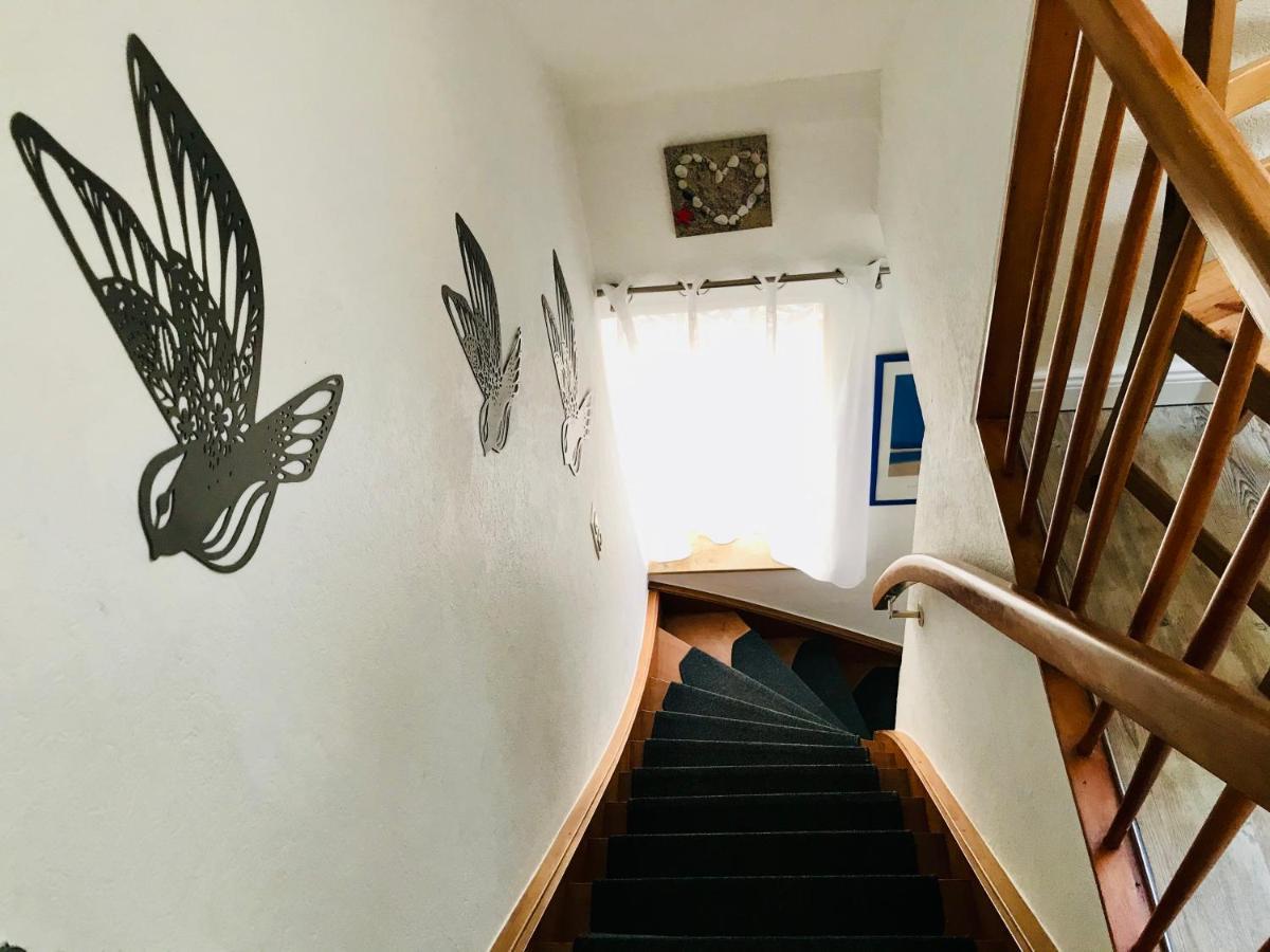Ferienwohnung Seeblick Borkum Eksteriør billede